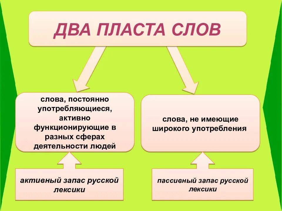 Слова активна лексика. Лексика. Лексика с точки зрения активного и пассивного употребления. Лексика современного русского языка. Активная лексика в русском языке.