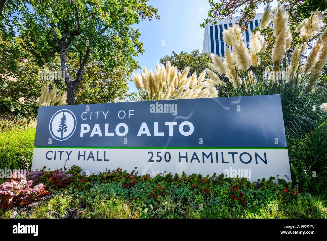 Табличка пала. Palo Alto City. Пало-Альто город в США. Города вокруг Пало Альто. City logo Palo Alto California.
