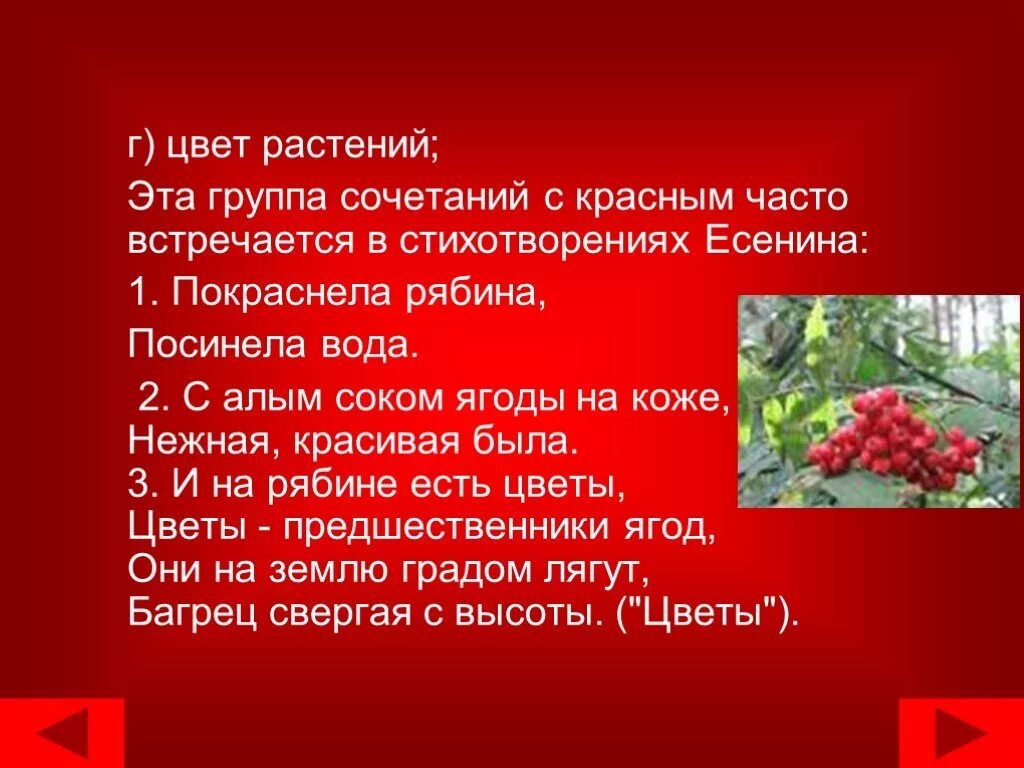 Стихотворение красный цвет. Стих про красный цвет. Стишки про красный цвет. Стихотворения Есенина с красным цветом. Есенин рябина.