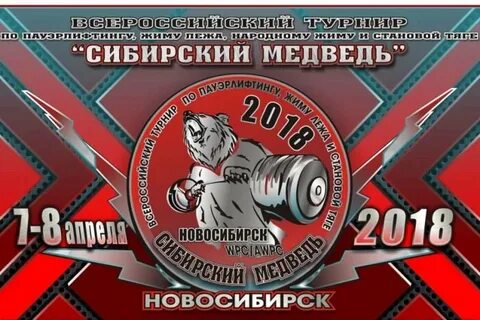 Сибирский медведь ул гагарина 40 отзывы