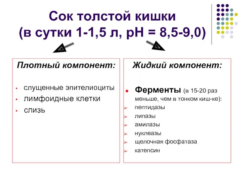 Какой сок в толстом кишечнике. Сок толстой кишки. Пищеварительный сок в толстом кишечнике. Состав сока толстой кишки. Кишечный сок Толстого кишечника.