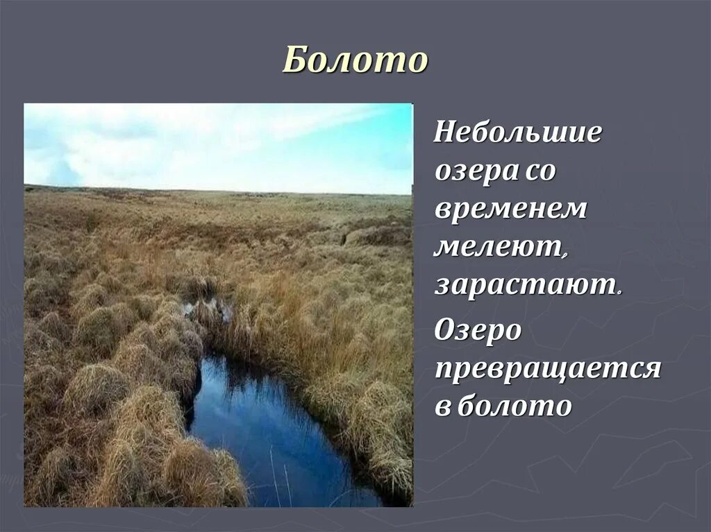 Болото конспект урока. Болота презентация. Болото это в географии. Болота 6 класс география. Что такое болото по географии.