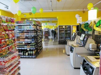 Магнолия кутузовский