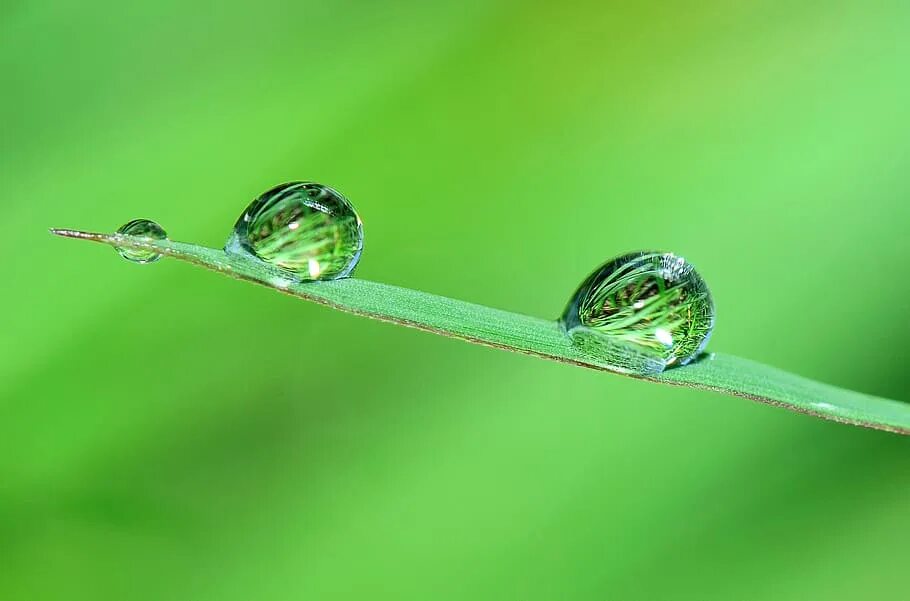 Зеленый капля PH. Картинки микро природы. Маленькая картинка макро ГЕОМЕТРР. Shiny Water.