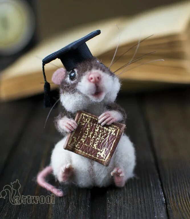 Милая мышь. Милые мышки. Веселая мышь. Мышонок. Красивая мышка.