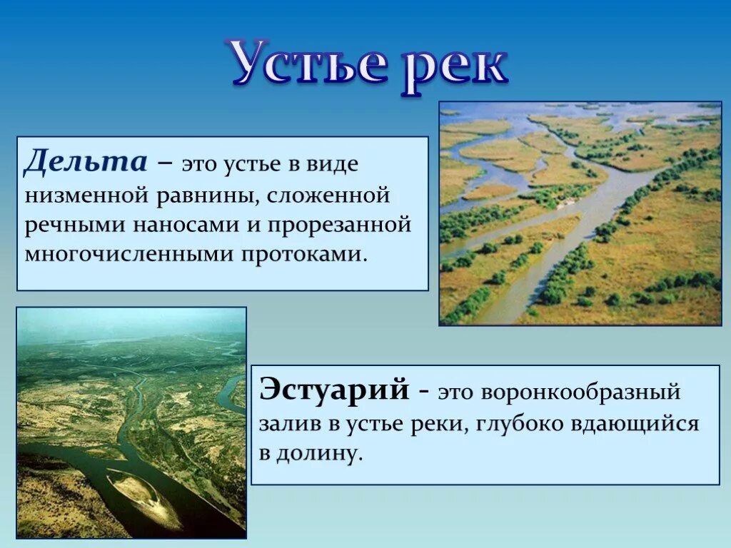 Определение понятий река. Дельта и эстуарий. Дельта это в географии. Дельта Тип устья. Устье реки Дельта.