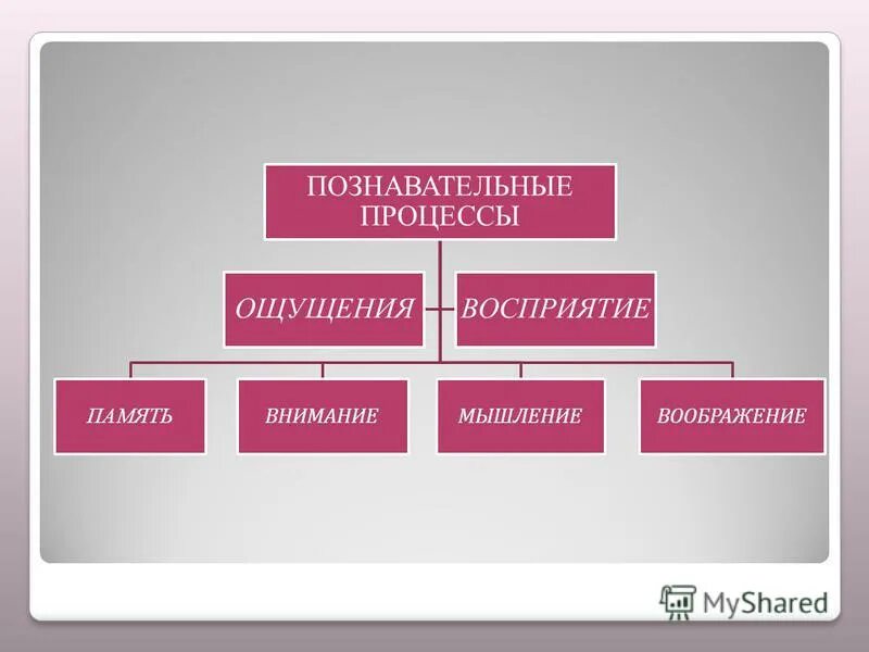 Ощущение восприятие мышление память внимание воображение речь. Ощущение восприятие память мышление воображение это. Познавательные психические процессы. Таблица психические процессы человека. Ощущения восприятие внимание память мышление и воображение это.