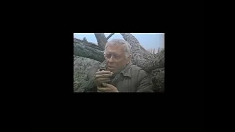 Лето 53 ремикс