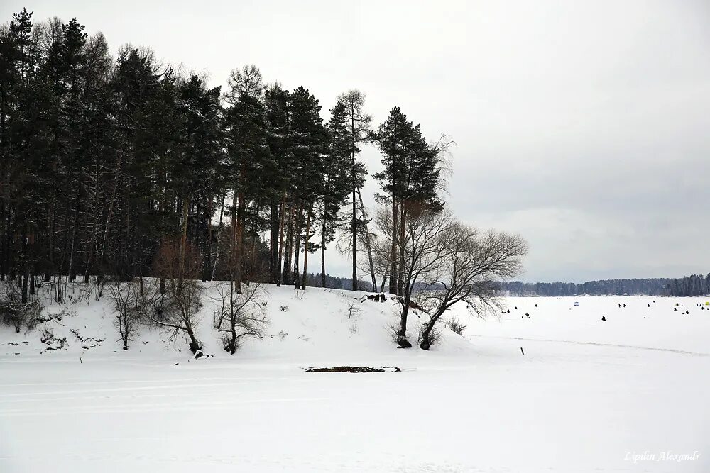 Отчет истринское водохранилище. Истринское водохранилище зима. Пляж Алехново Истринское водохранилище. Истринское водохранилище зимой. Истра снег водохранилище.