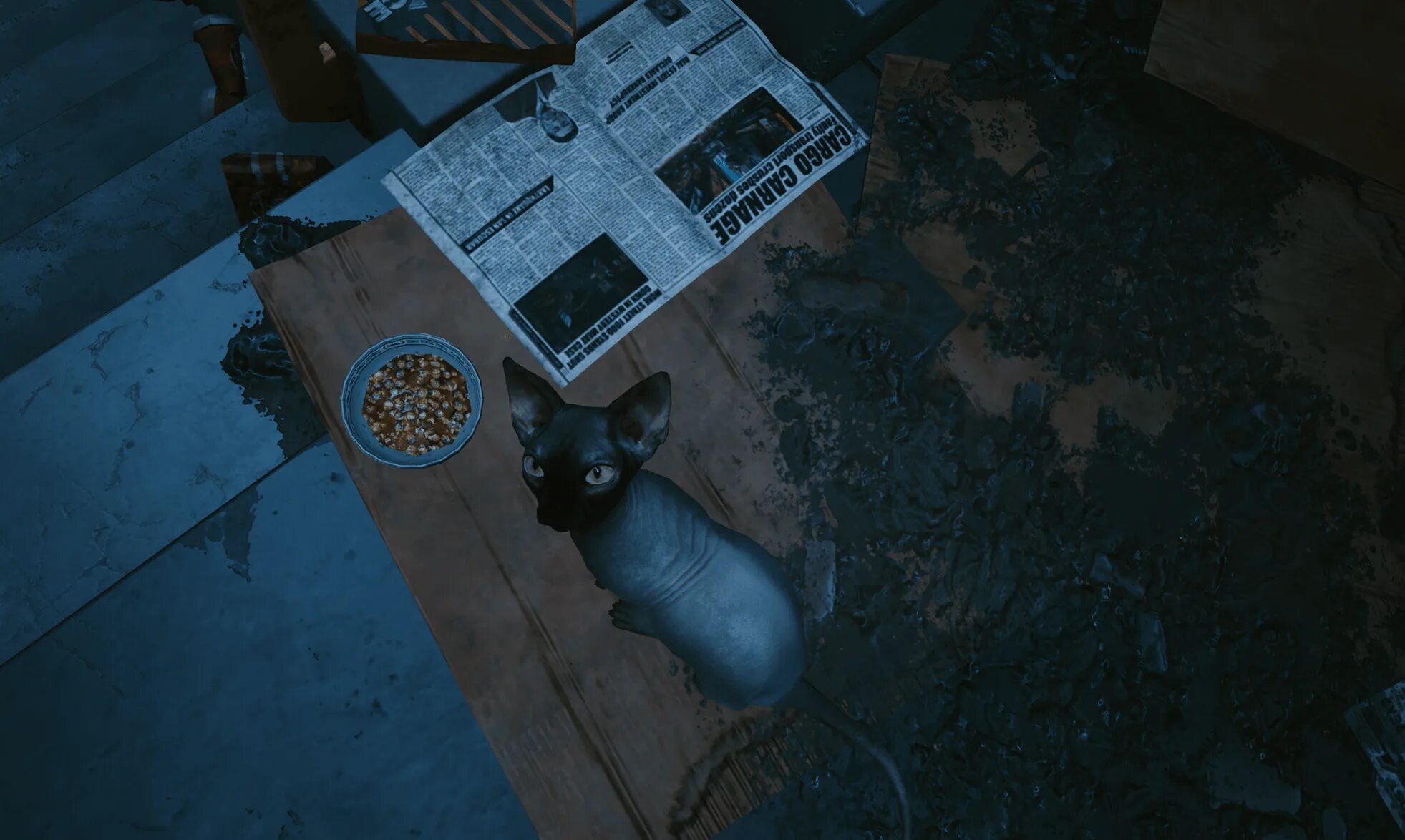 Как приручить кота в киберпанк. Cyberpunk 2077 кошачий корм. кот cyberpunk. кот киберпанк 2077. киберпанк кошачий корм.