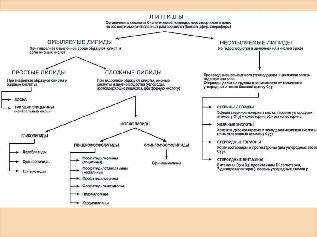 К какой группе липидов относится. Липиды классификация и особенности таблица. классификация омыляемых липидов. классификация липидов простые и сложные. холестерин классификация липидов.