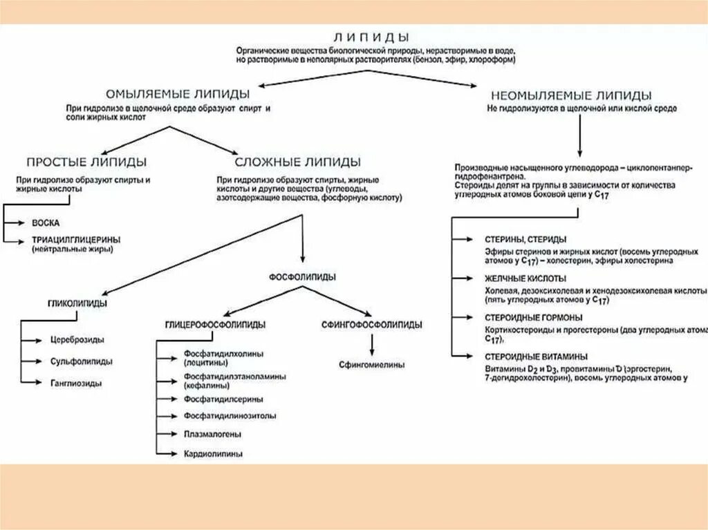 Основные липиды тканей человека. Липиды классификация и особенности таблица. Классификация омыляемых липидов. Классификация липидов простые и сложные. Холестерин классификация липидов.