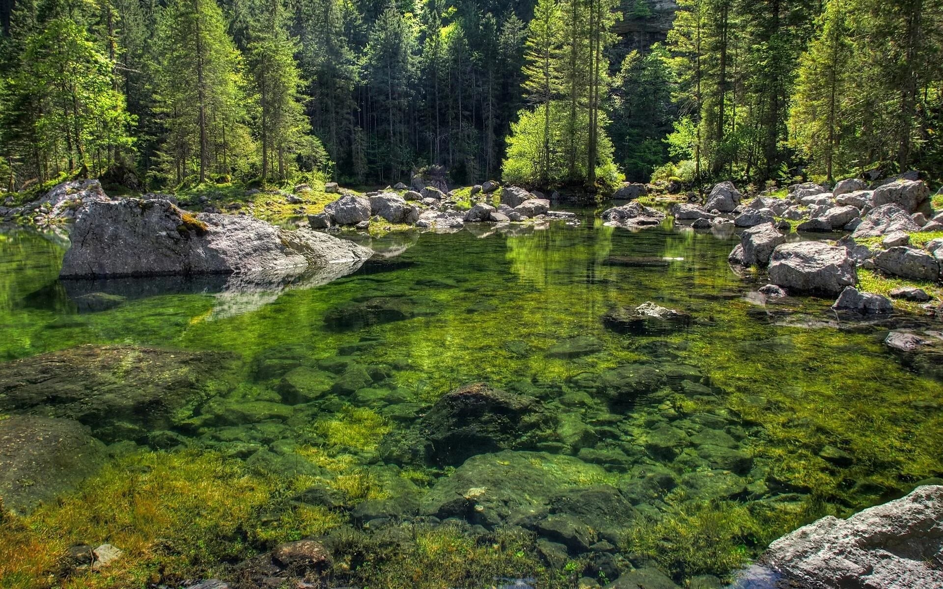 Stone river. Каменистые речки Карелии. Лес река камни. Каменистый берег озера. Природа река камни.