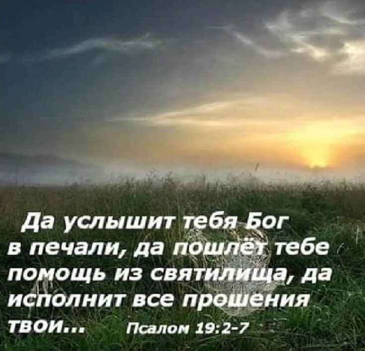 Благословение цитаты из библии. Цитаты из библии о жизни. слова поддержки из библии. цитаты их библии о жизни. стихи о жизни о боге.