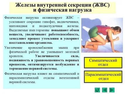 Является ли физическим телом