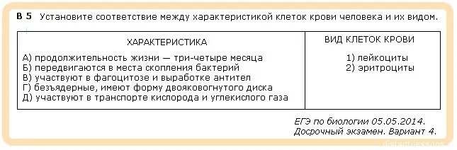 Билеты по анатомии. Билеты по анатомии
