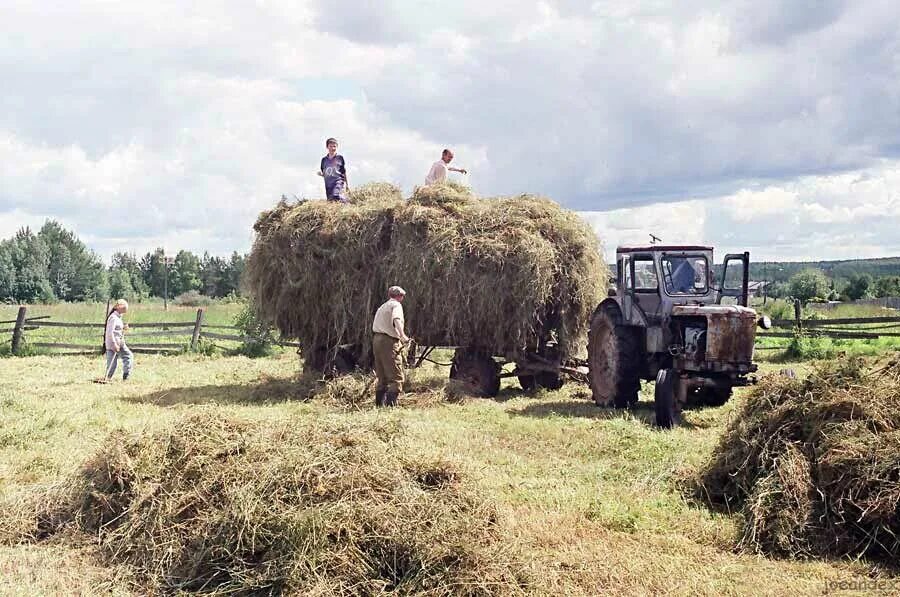 Фермер с коровой. За работу на селе. Женщины в колхозе. За работу на селе. Сельское хозяйство животноводство.