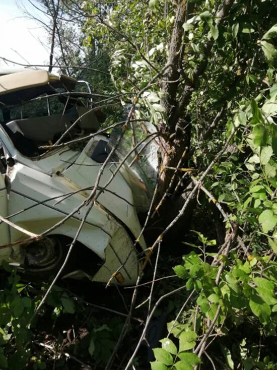 Мк происшествия сегодня. Авария в Воронежской области в 2022. Аварии в Воронежской области. Жигули в кювете. Легковушка.