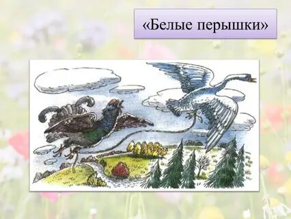 Сказка белые перышки
