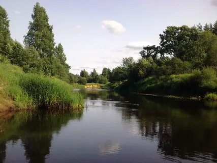 Вердая