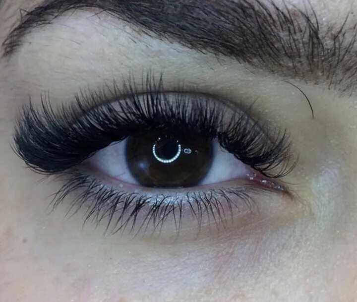 наращивание белка 2д. ресницы 2д эффект кайли. наращивание ресниц беличий эффект 2д изгиб с. ресницы белочка 2д. ресницы лисичка 2д.