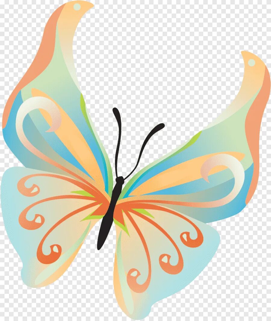 Без цветной рисунок. Бабочка рисунок. Бабочки мультяшные. Бабочка рисунок для детей. Бабочки на белом фоне.