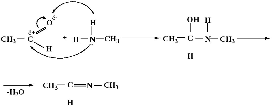 Гидролиз ацеталя в кислой среде механизм. Уксусный альдегид с первичным Амином. Имин гидролиз. Гидролиза метилимина ацетальдегида.