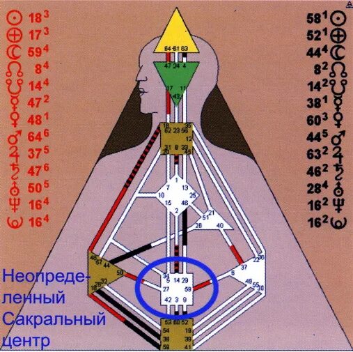 Горловой центр. Бодиграф сакральный центр. Дизайн человека. Центры в дизайне человека. Определённый сакральный центр.