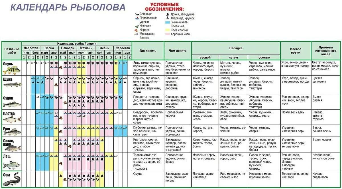 При каком давлении лучше клюет летом