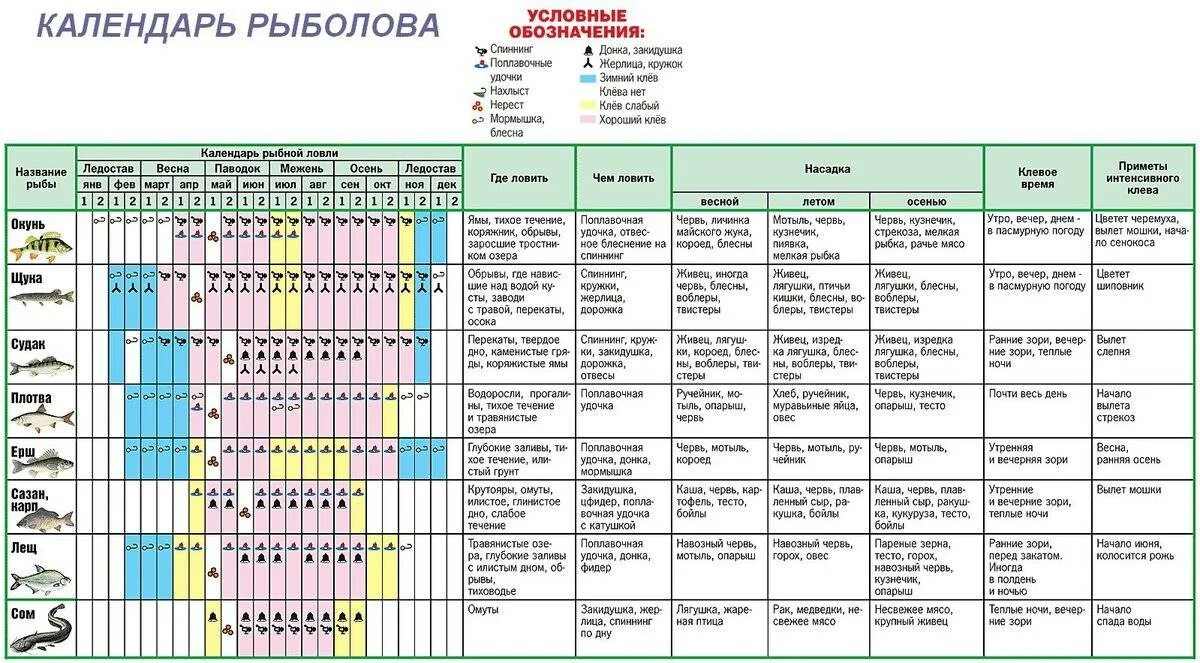Когда можно ловить щуку на спиннинг. Таблица клева давление. Таблица давления ловли рыбы зимой. Таблица атмосферного давления для рыбалки. Таблица клева рыбы зимой.