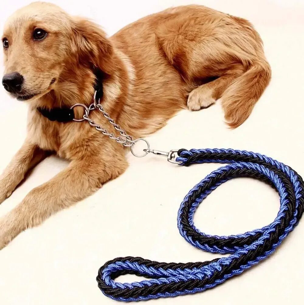 Leash slap. Col-leash ошейник. pet leash поводок. поводок для собак 1м. собака на цепи.