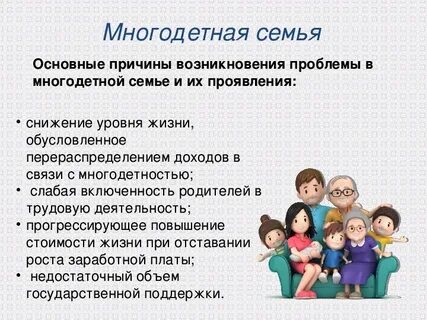 Заключение многодетные семьи