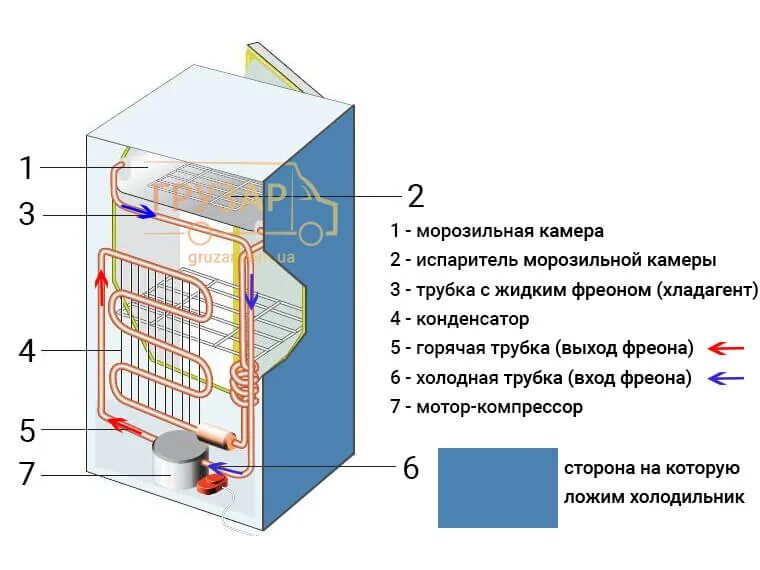 Можно возить холодильник лежа. Транспортировка холодильника. Перевозка холодильника как правильно. Перевозка холодильника лежа. Перевезти холодильник лежа.