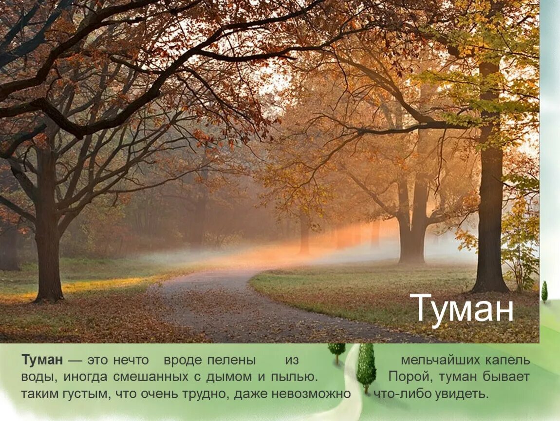 Туман туман густая пелена. Пелена тумана. Пелена воды. Туманы бывают.