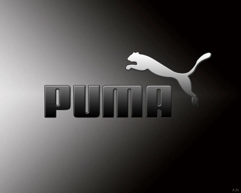 Пума логотип. Puma значок. пума лейбл. пума бренд логотип. пиму логотип.