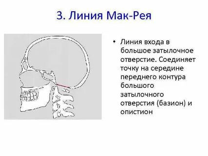 Где находится рея