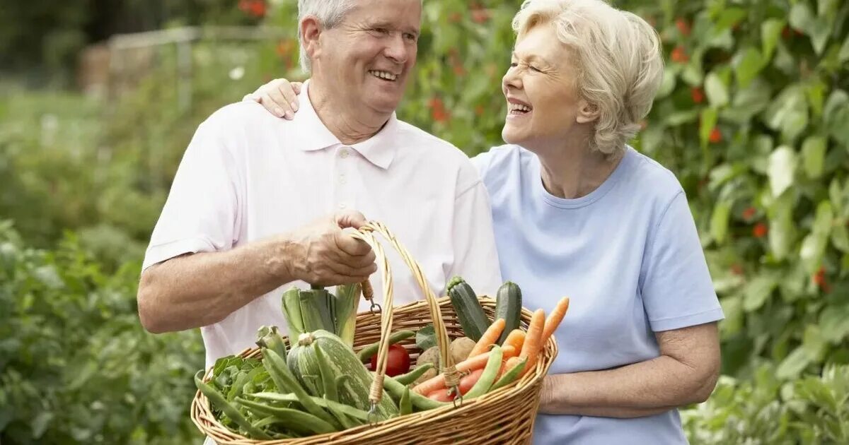 Еда для пожилых людей. Здоровое питание для пожилых людей. Здоровые пожилые люди. Пожилого и старческого возраста.