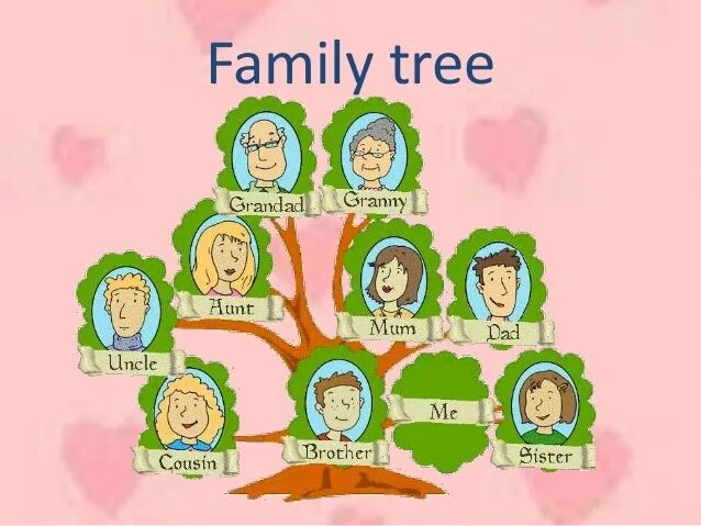 Unit 2 my family. Семейное дерево (my family tree). дерево семьи на английском. моя семья на английском языке. дерево семьи рисунок на английском.