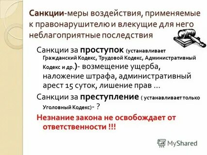 Мера воздействия применяемая к правонарушителю