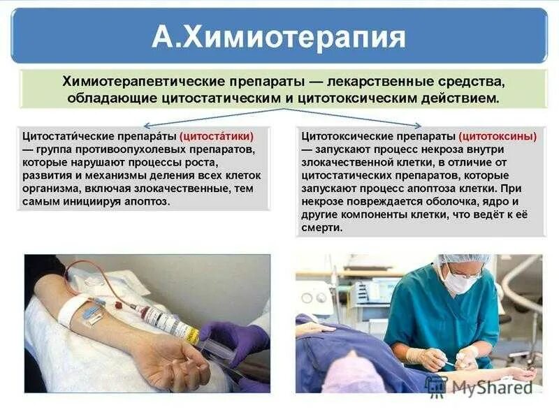 Сколько курсов пройти химиотерапии. Химиотерапия презентация. подготовка пациента к химиотерапии. необходимость проведения химиотерапии. профилактическая химиотерапия.