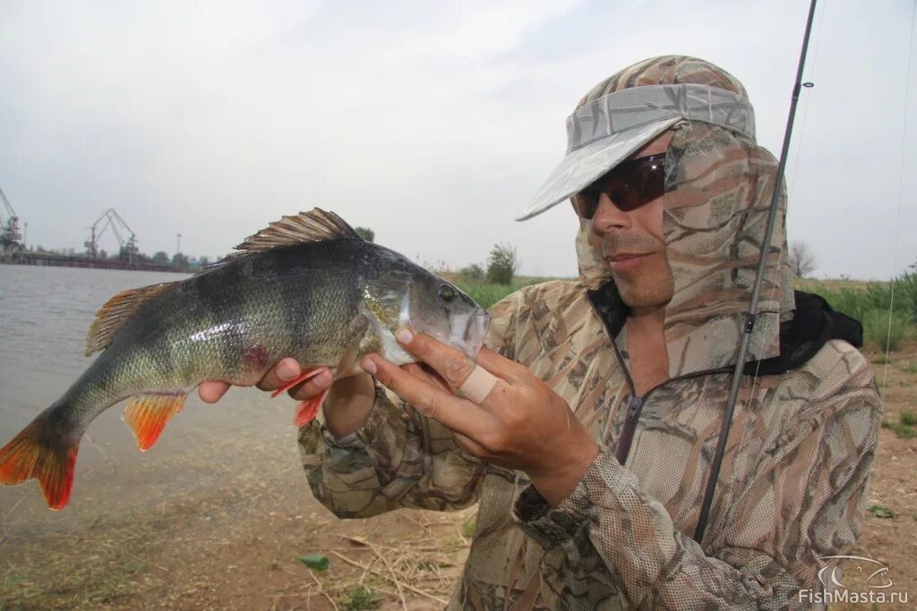 волгоградское водохранилище рыбалка