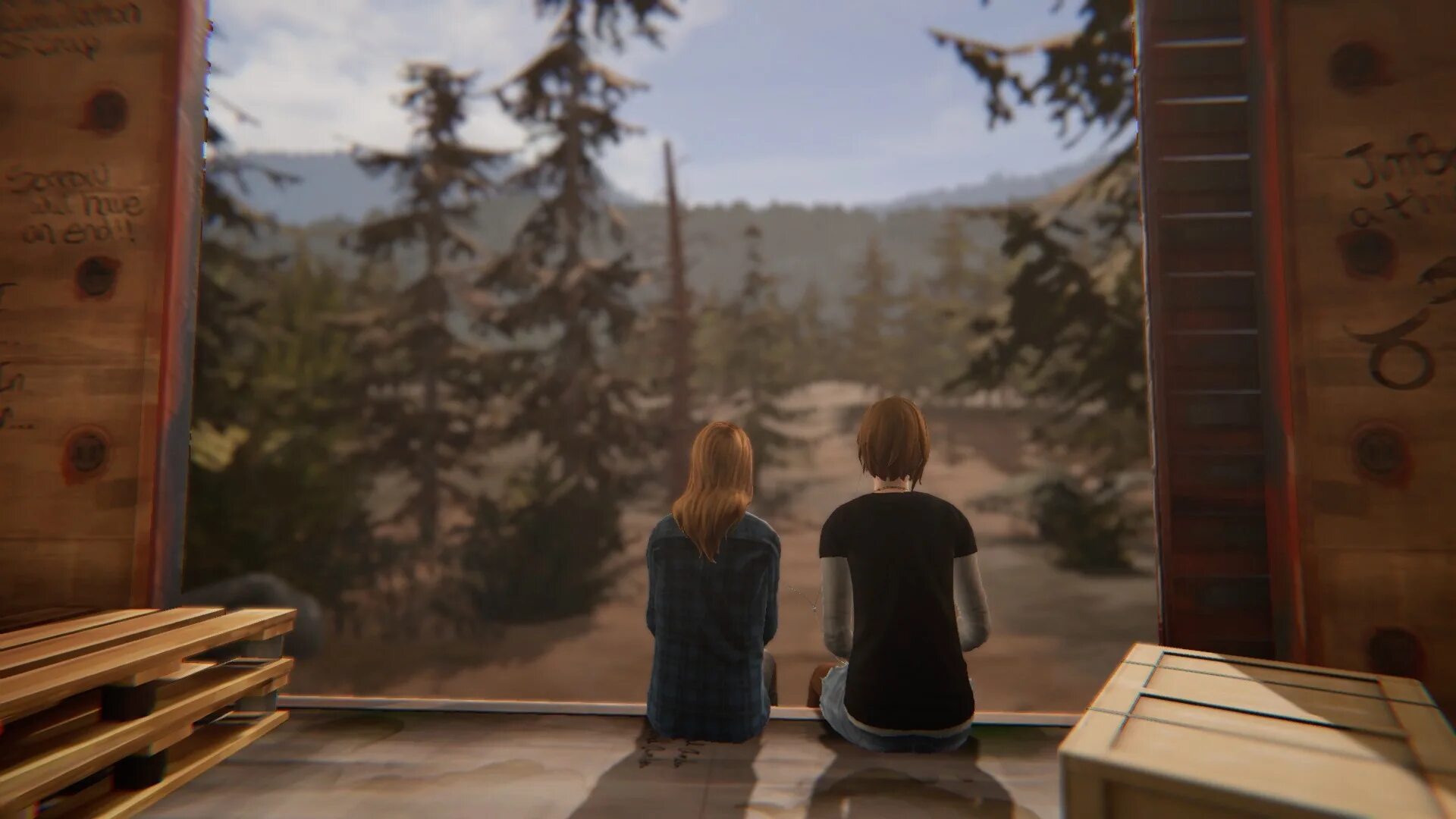 Before we life. Life is Strange before the Storm Рейчел. Life is Strange before the Storm 2. Волшебный шкаф Хлои.
