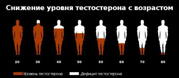 Дефицит тестостерона. Высокий тестостерон у мужчин. Снижение уровня тестостерона. Высокий уровень тестостерона у мужчин. Почему с возрастом снижается