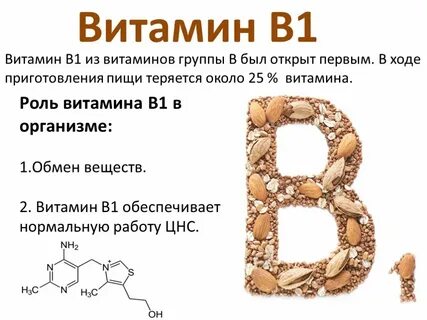 Биологическая роль витамина в1
