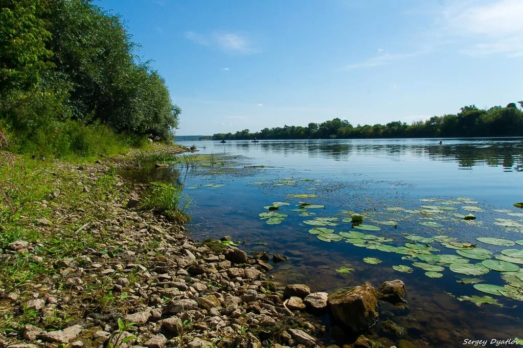 Речка ока ступино. Берег реки оки. Ока в воскресенске геолокация. Ступино ока красивые места. Ока воскресенск.