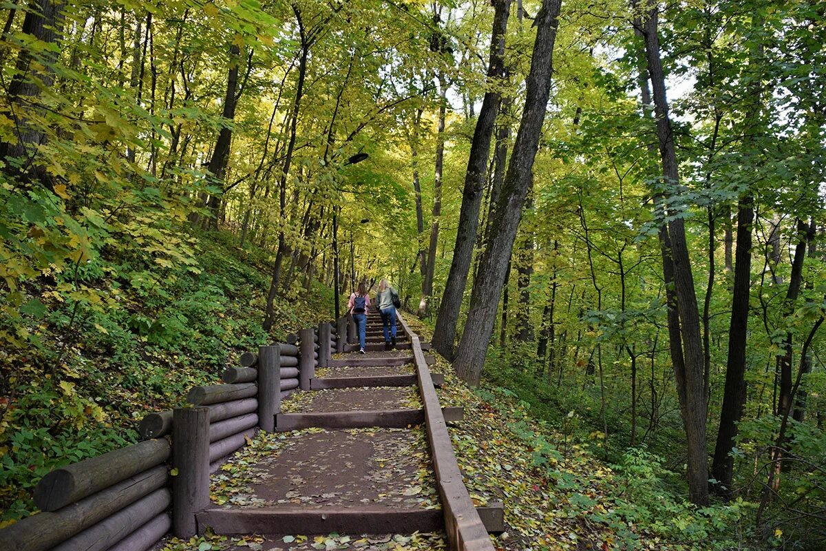 экотропа лесная тропа. большая балканская тропа. эко топа сестоецкая доога. горы экотропа карелия. песчаная тропинка.