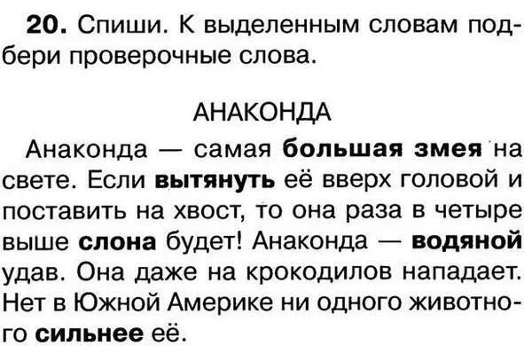 Картинка списывание. Текст для списывания 2 класс. Текст для списывания 1 класс. Тексты для списывпния1 класс. Текст для 1 класса.