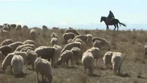 Саусағымен трюк көрсетіп, былдырлады