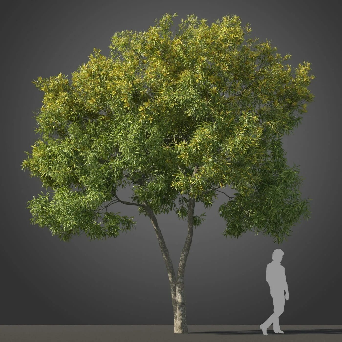 Fbx to obj