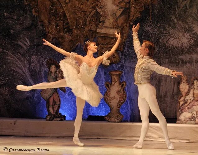 лебединое озеро балет грищенко. гедиминас таранда артисты балета большого театра. танцор таранда балета. имперский русский балет гедиминаса таранды. танцор таранда балета.